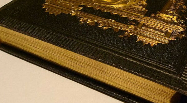 Error 404, el contenido ya no existe 11 libro Pan de Oro