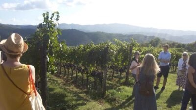 Dégustation de vins à Arezzo