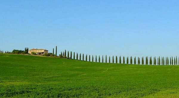 Error 404, el contenido ya no existe 6 ¡Reapertura de las escuelas de italiano!