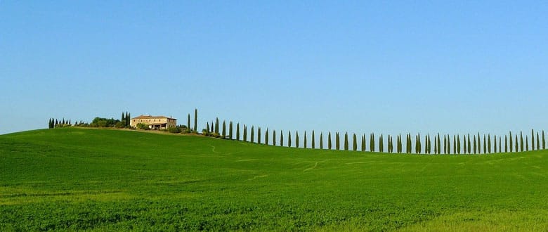 Blog 19 Italian language schools reopen!