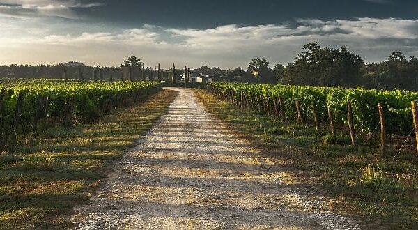 Error 404, el contenido ya no existe 8 El Valor de Viajar a un Ritmo Lento