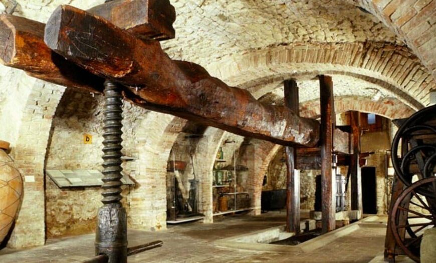 Blog 22 Learn Italian with Wine & Olive Oil Experiences in Umbria