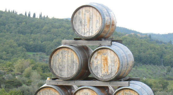 Error 404, o conteúdo não existe mais 2 Vendemmia: a colheita de uva, azeitonas e trufas no outono